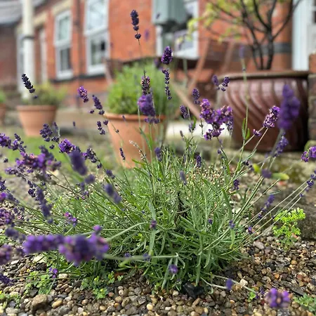 Station House Cottages, Exclusively For Grown Ups, Thornton Dale ピカリング